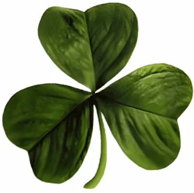 Irish symbol hi-res stock photography and images - Alamy