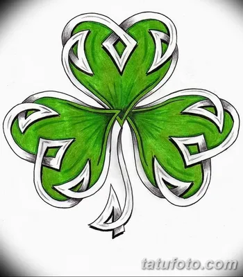 Ирландия Ирландская кухня Shamrock, клевер, лист, трава png | PNGEgg