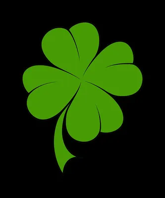 Luck Of The Irish Four Leaf Clover Custom Shape Metal Sign 16 x 19 Inches