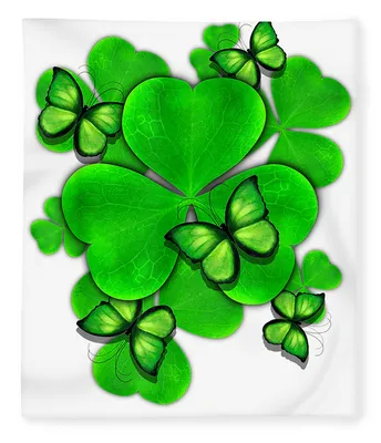 Amazon.com - Shamrock Clover 3 Leaf Ireland Irish Vinyl Green Decal Sticker  - 4 Pack Reflective, 2 Inches, 3 Inches, 5 Inches, 6 Inches - for Car Boat  Laptop Cup Phone