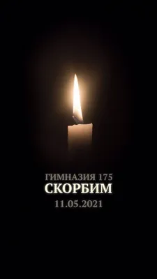 Олег Стрельченко: Выражаю искренние соболезнования родным и близким  погибших в результате ужасного теракта в Белгороде - Лента новостей ДНР