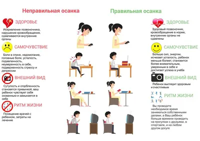 S-Образный сколиоз 1-2-3 степени, причины, лечение грудо-поясничного отдела  позвоночника