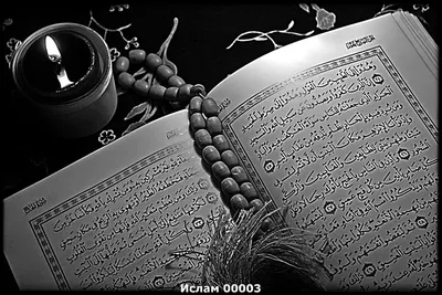 Коран (на арабском языке) - Литература