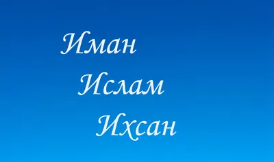 Ислам - 🙏 религия мира и добра, цитаты из Корана on X:  \"https://t.co/Hh1xXo0dBx\" / X