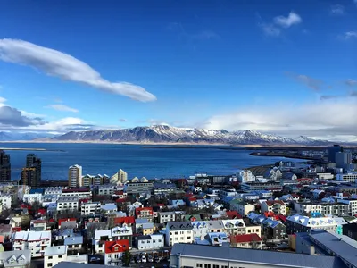 Как получать гражданство Исландии: способы оформления исландского паспорта  в 2024 году