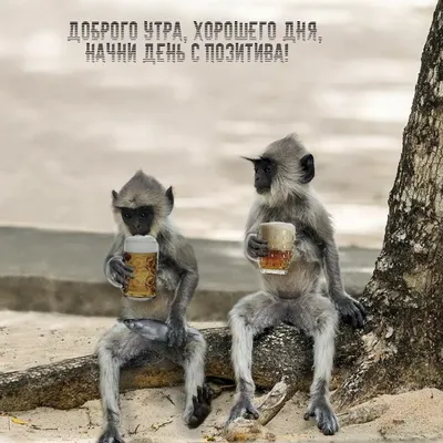 Мне смешно - Честные рекламные слоганы #приколы #прикол... | Facebook
