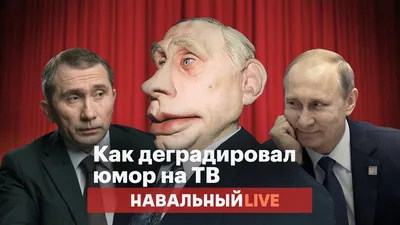 Привет от Совиного семейства из отпуска: Юмор на свободную тему от Совы,  №168 \"День рождения - грустный праздник\".. | ВКонтакте