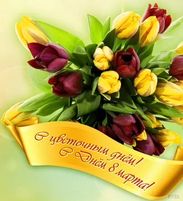 Поздравления с 8 Марта (прикольные открытки и картинки) | ВаликоВ.com