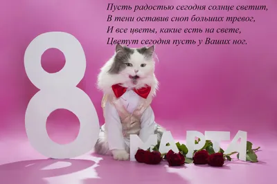 С праздником **8 Марта**