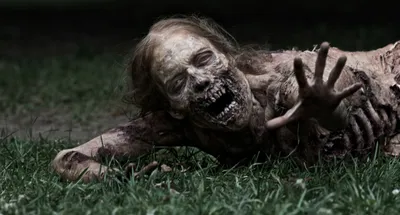 Ходячие мертвецы: Мертвый город»: обзор нового сериала про старых зомби |  РБК Life