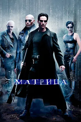 Тест на знание фильма «Матрица»: тест к премьере фильма «Матрица:  Воскрешение» / Премьера фильма «Матрица: Воскрешение» 16 декабря 2021 год -  16 декабря 2021 - 14.ру