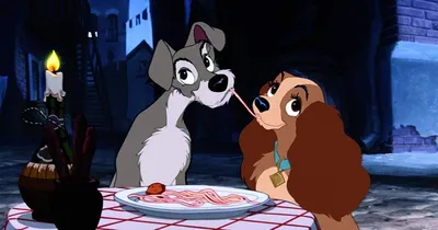 Леди и Бродяга» в кино: Disney переснимет культовый мультфильм