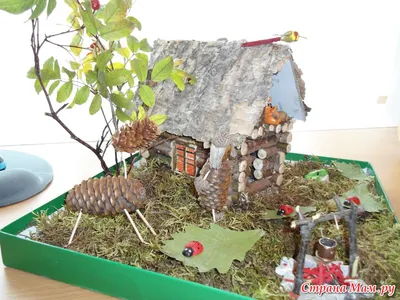 Новогодняя елка своими руками из природного материала — Видео | ВКонтакте