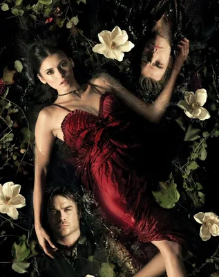 Сериал Дневники вампира (2009) смотреть онлайн