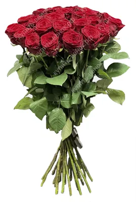 Траурный букет из живых цветов \"30 бордовых роз\"– купить в  интернет-магазине, цена, заказ online