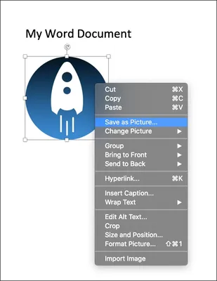 The surprisingly subtle ways Microsoft Word has changed how we use language