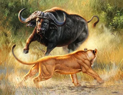 Иллюстрация портрета быка брауна мультфильма красного с рогами. Забавно,  мило улыбаясь курчавый бык на белом фоне Иллюстрация штока - иллюстрации  насчитывающей смешно, ангстрома: 202085932