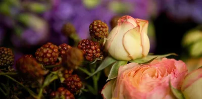 Богатства и изысканные цветы долголетия Фон И картинка для бесплатной  загрузки - Pngtree