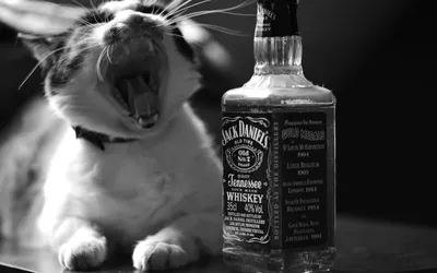 Скачать обои Бутылка, Алкоголь, Jack Daniels, Фиолетовый фон, Джек Дэниэлс,  Виски., раздел разное в разрешении 3200x1200