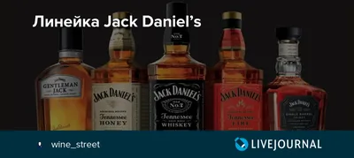 Обои на рабочий стол Кот зевает возле пустой бутылки виски Джек Дениэлс / Jack  Daniels, обои для рабочего стола, скачать обои, обои бесплатно