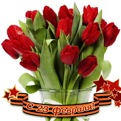 Поздравляем всех мужчин с 23 февраля!!! / Портал мировой юстиции  Оренбургской области