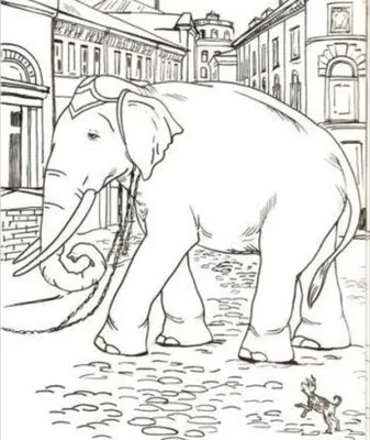 Рисунок к басне слон и моська - 74 фото