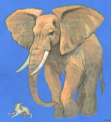 Слон и Моська, или Антитеза | ,тАк сказАть, | Дзен