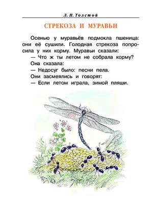 Знаешь ли ты, что на самом деле стрекоза в басне Крылова — вовсе не стрекоза?  | MAXIM