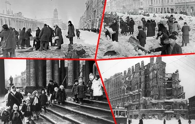 Нам говорят неправду о блокаде Ленинграда