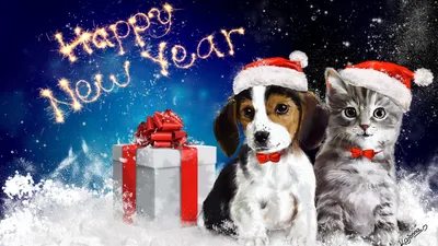 с новым годом собаки / смешные картинки и другие приколы: комиксы, гиф  анимация, видео, лучший интеллектуальный юмор.