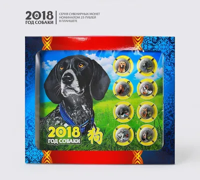 Приметы на Новый год – 2018: как встретить Желтую Собаку - 29.12.2017,  Sputnik Беларусь