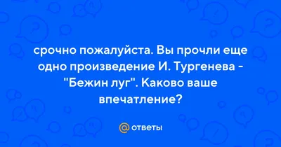 О чем рассказывал Илюша в рассказе \"Бежин луг\" - примеры сочинений ~ Проза  (Школьная литература)