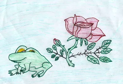 Иллюстрация Жаба и роза в стиле книжная графика | Illustrators.ru