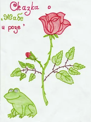 Жаба и роза рисунок - 72 фото
