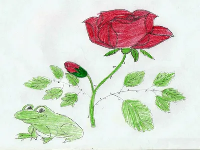 Литературное чтение 4 класс (Урок№27 - В. М Гаршин «Сказка о жабе и розе».)  - YouTube