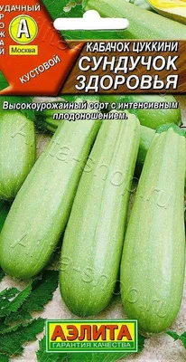 В последнее время популярность набирают круглые кабачки. В чем их главное  преимущество перед обычными | Огород У-Дачи | Дзен