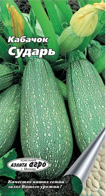 Купить кабачок цуккини цукеша 1,5г русский огород по оптимальной цене.  Строительные материалы оптом и в розницу с доставкой