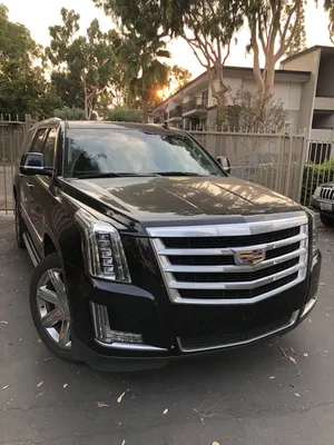 New Cadillac Escalade | Drive Luxury | Cadillac of Naperville
