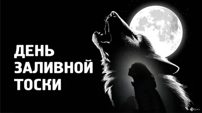 Твои кайфовые сохры 2024 | ВКонтакте