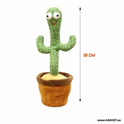 Кактус Цереус Мексиканский Экзотические растения 10.091826N, купить с  доставкой в интернет-магазине orgmebel.ru