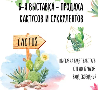 Композиция из Кактусов в керамике d15 см купить недорого в  интернет-магазине товаров для сада Бауцентр