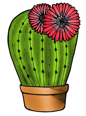 Кактус, семейные кактовые, фрески или кактусы, цветущий растительный  семейный заказ Caryophyllales с более чем 2000 видов Стоковое Изображение -  изображение насчитывающей больше, отечественно: 156717971