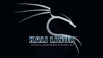 Gebutcher - KALI для начинающих - отличный видео курс по Kali Linux на  Русском языке. Все, бесплатно, без регистрации и смс как вы любите) Зашел,  выбрал тему из курса и смотришь) Не