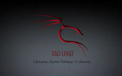 ⚠️ Как создать загрузочную флешку с Kali linux Kali live usb. Загрузочная  флешка с kali linux. Rufus - YouTube