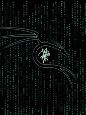Download \"Kali Linux\" wallpapers for mobile phone, free \"Kali Linux\" HD  pictures