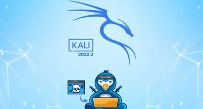 How to Make a Kali Linux 2022 Live USB with Permanent Storage and  Encryption (on Windows) - HackYourMom