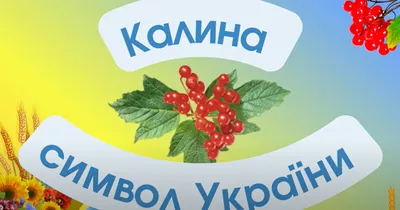 Скарби України - Калина-Символ України Символ віри в... | Facebook