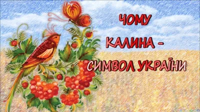 Калина – символ українського народу | SPADOK.ORG.UA