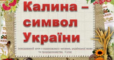 Державні та народні символи України