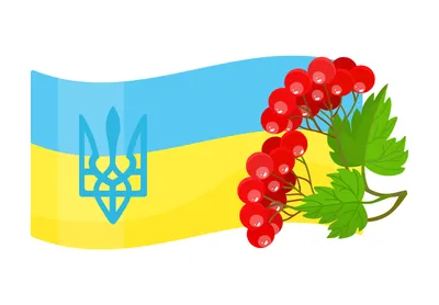 Саженцы калины в Украине ᐉ купить почтой в питомнике Биосад